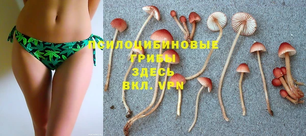 mix Аркадак