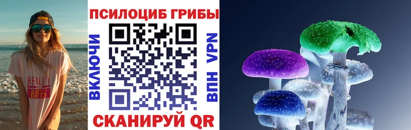Галлюциногенные грибы Psilocybe  Аша 