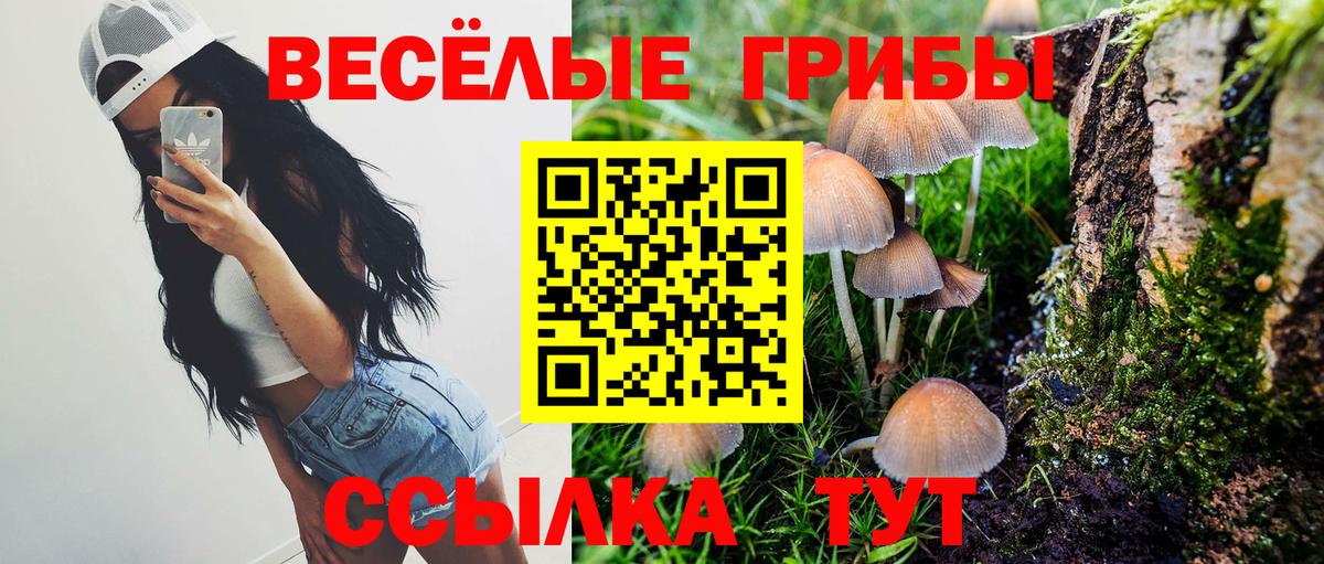Галлюциногенные грибы мицелий  Псилоцибиновые грибы прущие грибы  Аша  Вход с VPN 